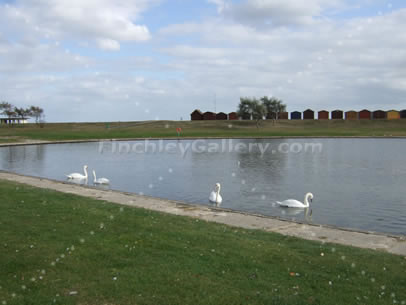 THE POND NEAR THE BEACH IN DOVERCOURT IN 2009