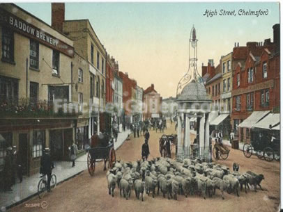 The High Street, Chelmsford