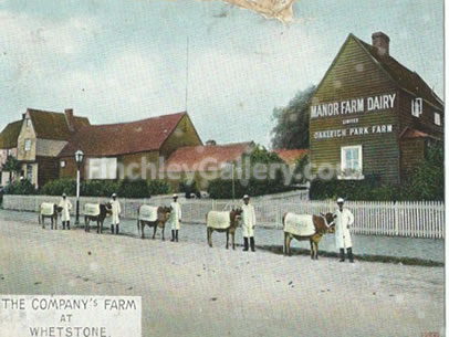 The Company's Farm at Whetstone