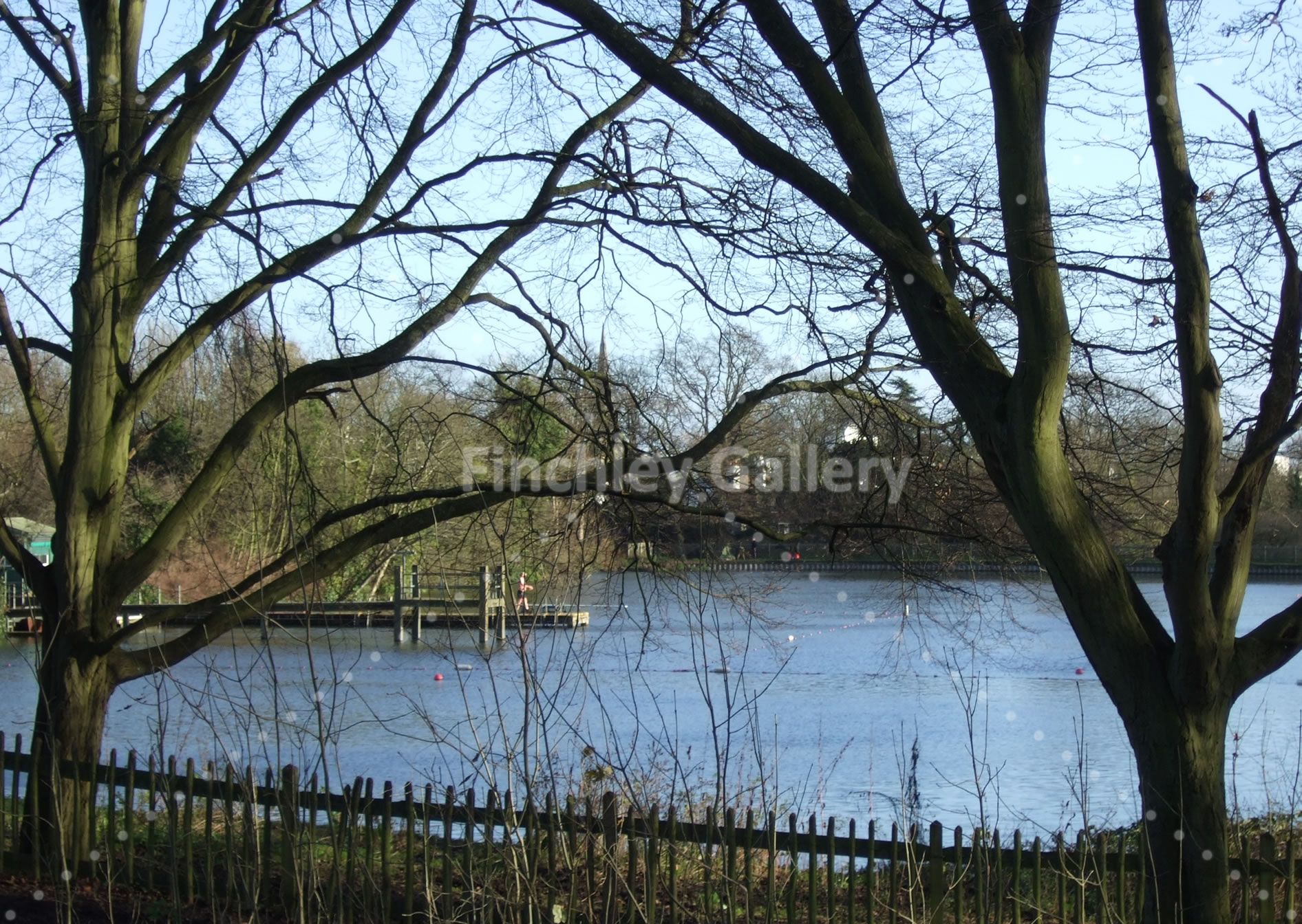 A brave swimmer Hampstead Heath December 2015