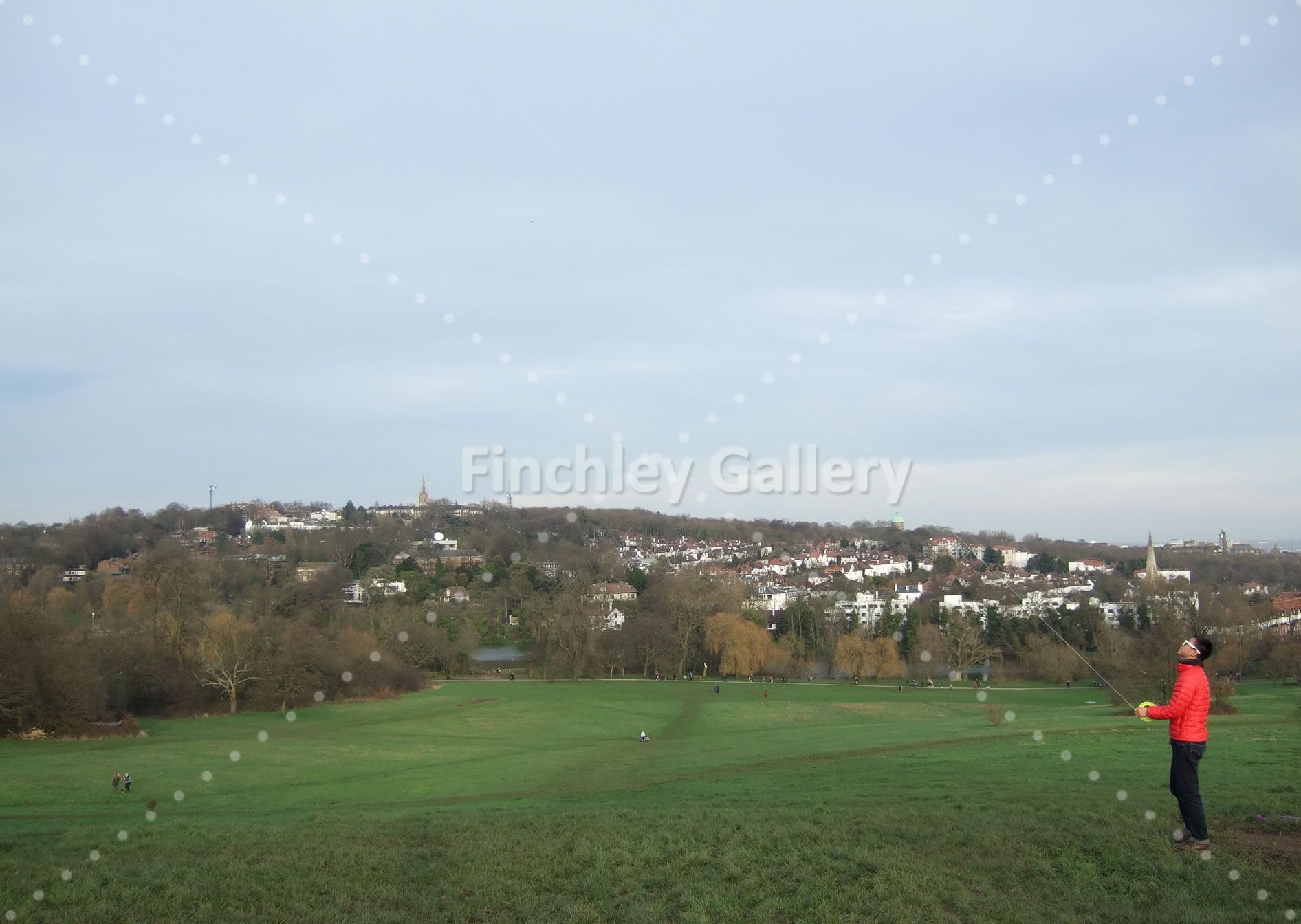 Hampstead Heath looking towards Highgate Hill 2015