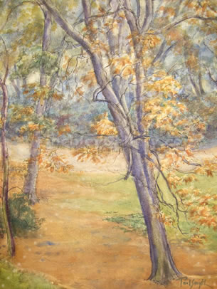 TREES IN AUTUMN, HAMPSTEAD