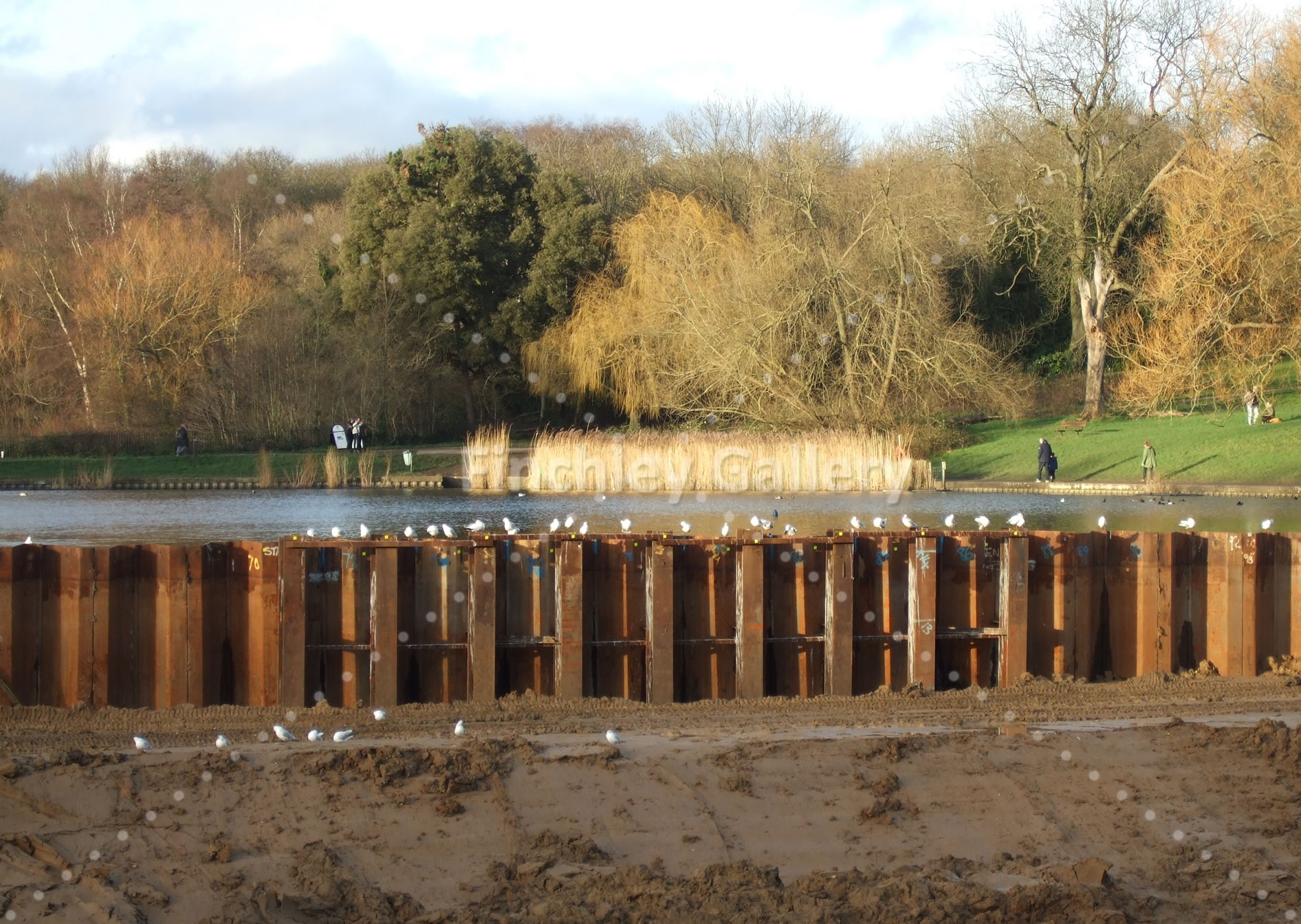 Dredging at Highgate Ponds 2015