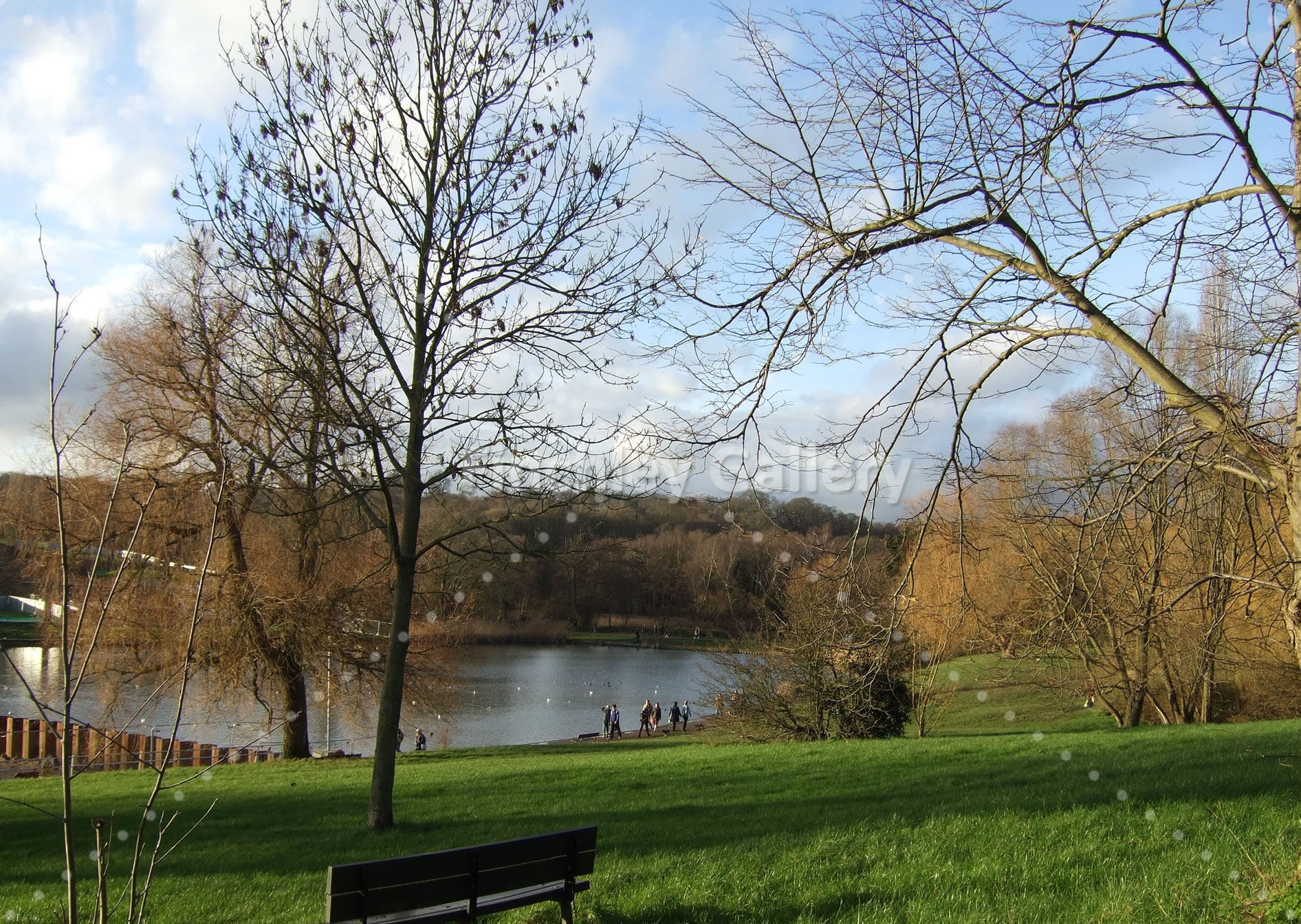 Some of Highgate's Ponds are being dammed for dredging 2015