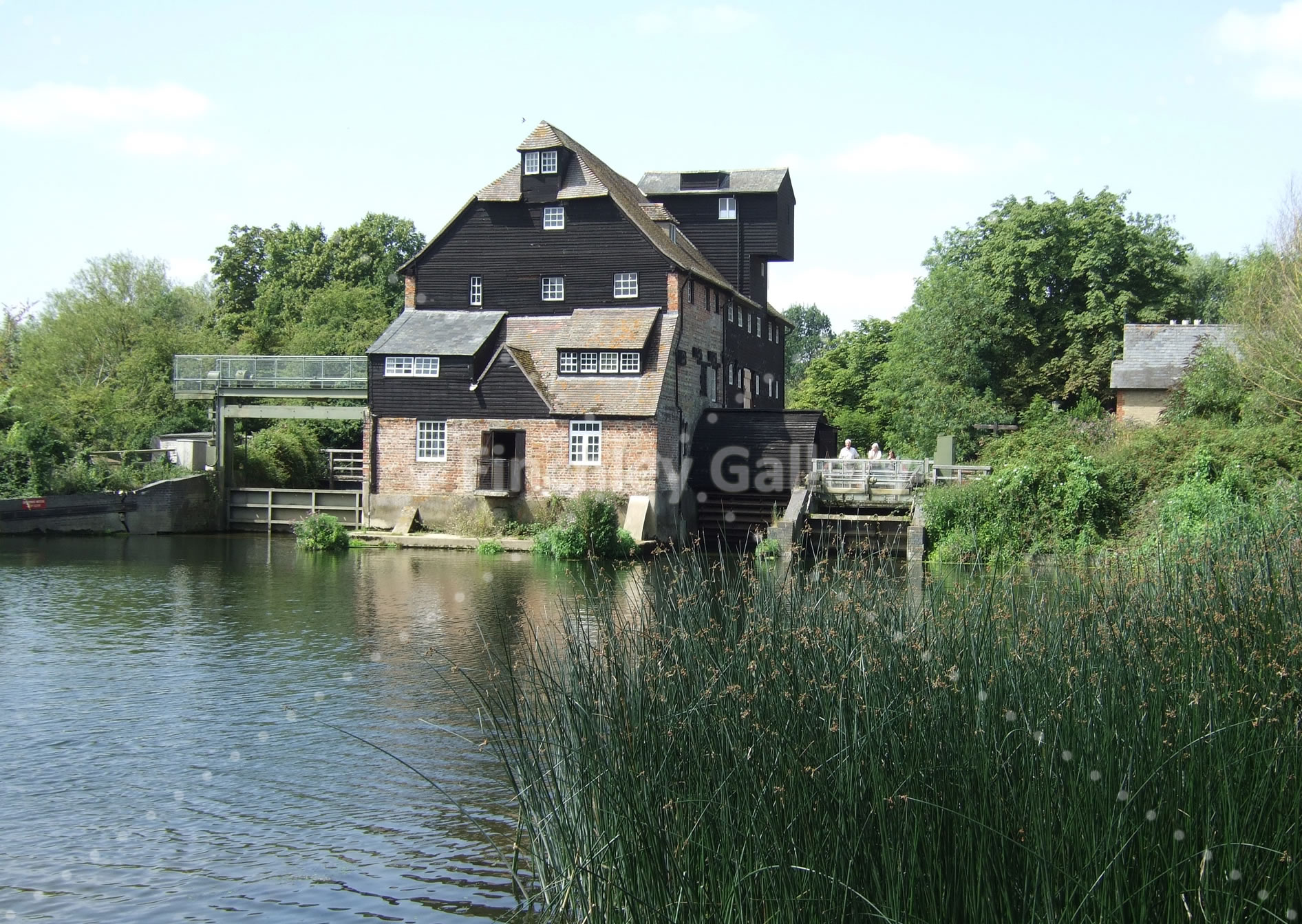 Houghton Mill 2015